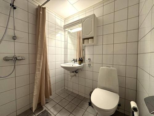 a bathroom with a toilet and a sink at Nidaros Pilegrimsgård in Trondheim
