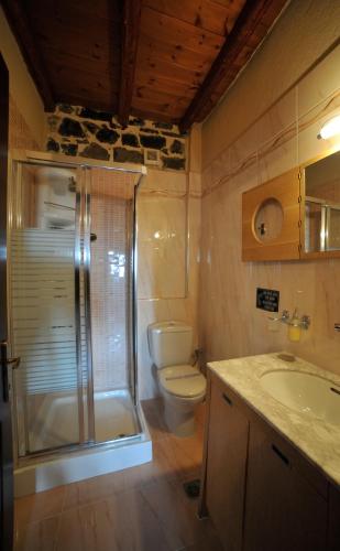 a bathroom with a shower and a toilet and a sink at Enastron in Palaios Agios Athanasios