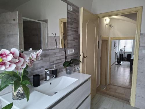 a bathroom with a sink and a mirror at Su ciaccu in Nulvi
