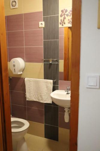 a bathroom with a toilet and a sink at Panoráma Szálláshely in Csongrád