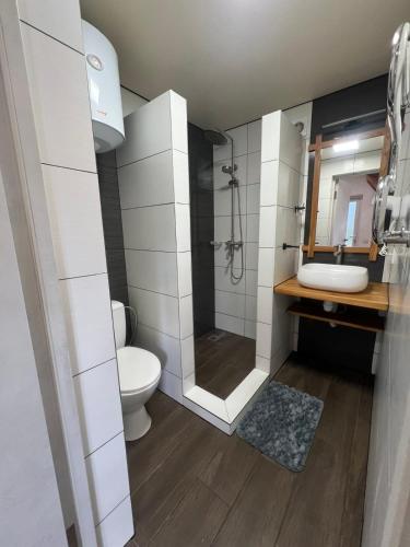 a bathroom with a toilet and a sink and a shower at Privat-Villa-Котедж in Mykulychyn