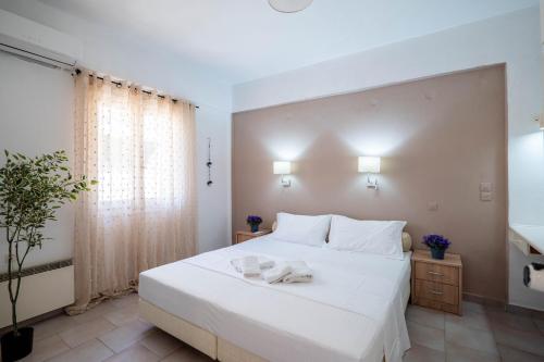 Corfu Dream Holidays Villas Standarts