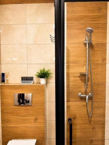 a bathroom with a shower and a toilet at Domek z balią Pod Dębem in Zabrzeź
