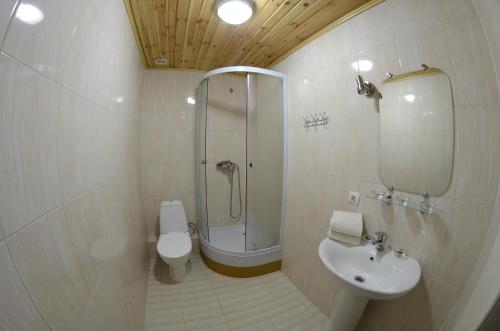 a bathroom with a shower and a toilet and a sink at Curtea Boierului Hotel in Peresecina