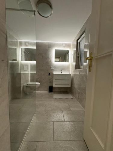 a bathroom with a shower and a sink and a toilet at Modern Apartment Melk - Altstadt & Parkplatz in Melk