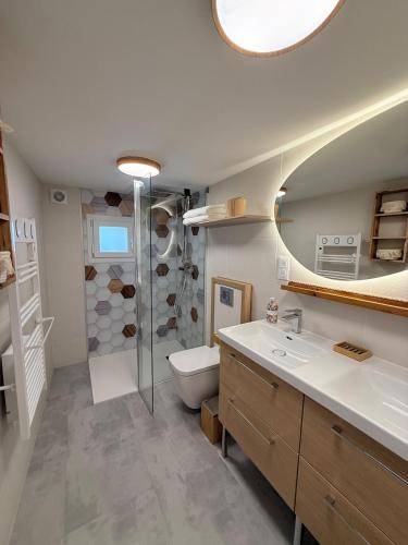 a bathroom with a sink and a toilet and a mirror at Le 25 Bis Spa&Sauna aux portes de Montauban in Lamothe-Capdeville