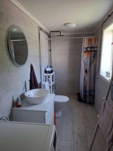a bathroom with a sink and a toilet and a mirror at Bieber`s Gästezimmer in Lilla Norge