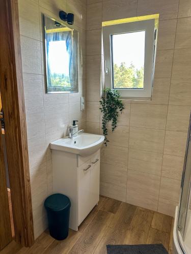 a bathroom with a sink and a window at Chatki Bies-Czadowe-Czad in Berezka