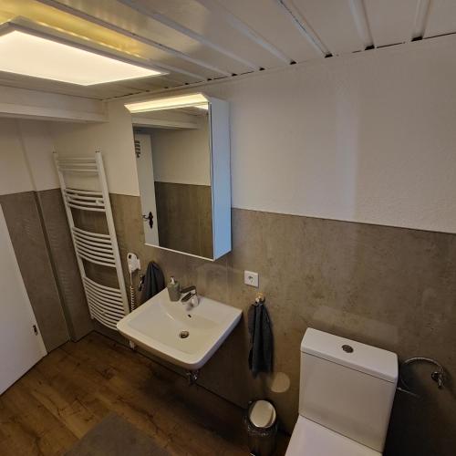 a bathroom with a sink and a toilet and a mirror at Altenauer Kaffee-Chalet in Altenau