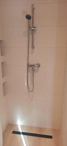 a shower stall with a shower head in a bathroom at Wzgórze za miedzą - Niezależne Studio z osobnym wejściem in Sicienko