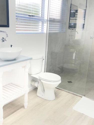 a white bathroom with a toilet and a shower at Net Dankbaar in De Kelders