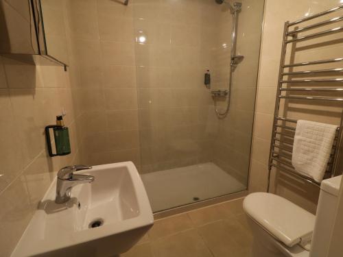 a bathroom with a shower and a sink and a toilet at Foyle Cottage in Strabane