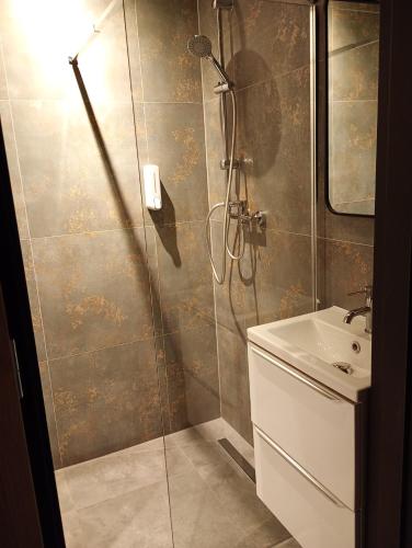 a bathroom with a shower and a sink at Zacisze 4 in Przemyśl