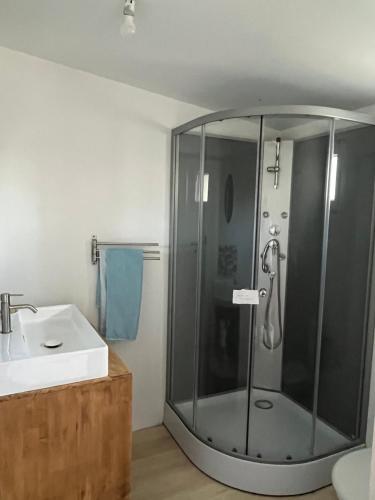 a bathroom with a shower and a sink at Idéalement placée in Santec
