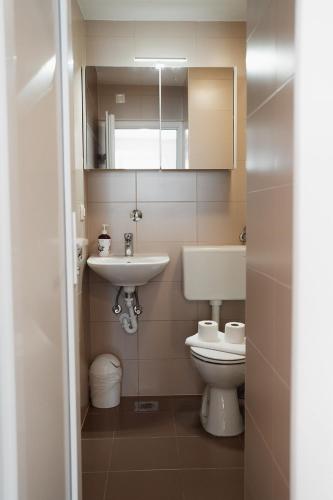 a bathroom with a sink and a toilet at OLIVE in Nerezine