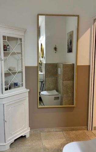 a bathroom with a toilet and a mirror at Clos Sainte Marguerite in Lambesc