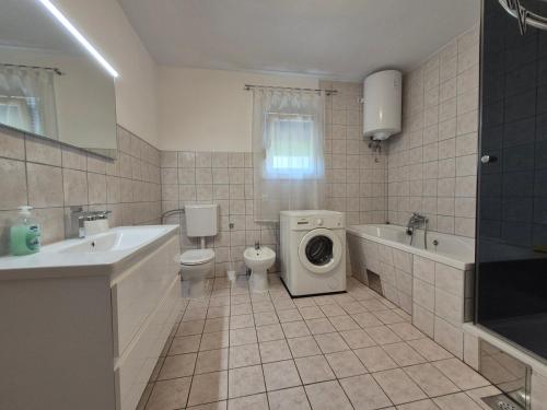 Spacious apartment Antea