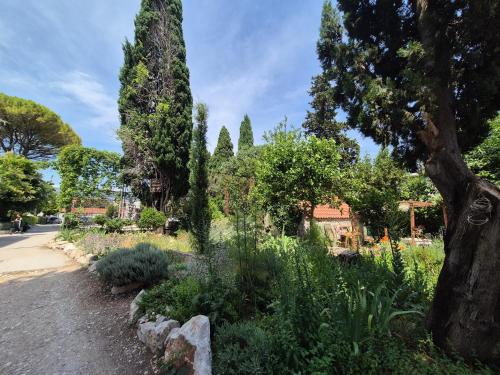 Spacious apartment Antea