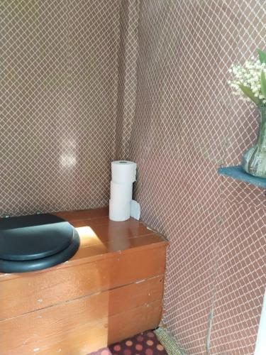 a bathroom with a toilet sitting on a wooden table at The little cottage in Saltvik