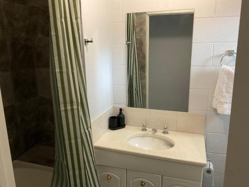 a bathroom with a sink and a shower at Bruny Sunset Beach in Alonnah