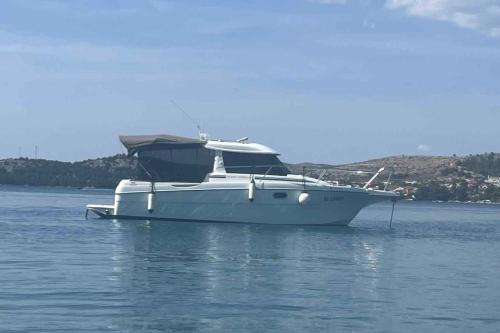 Lorena Private Boat Tour
