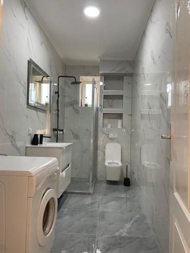 a bathroom with a toilet and a sink and a shower at DAS Apartmani Bileća in Bileća