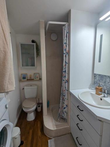 a bathroom with a toilet and a sink at Le Studio Fouesnantais in Fouesnant