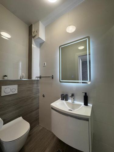 a bathroom with a toilet and a sink and a mirror at Paulina Harmony Rooms in Seget Vranjica