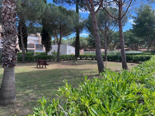 Studio Cap d'Agde