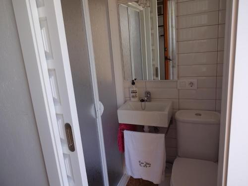 a bathroom with a sink and a toilet and a mirror at Loft Yedra in Almagro