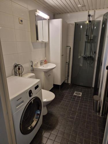 a bathroom with a washer and a toilet and a sink at Apartment with private sauna in Loimaa