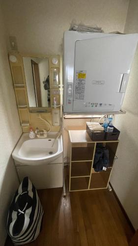 a small bathroom with a sink and a mirror at ELM On The Beach in Kitaibaraki