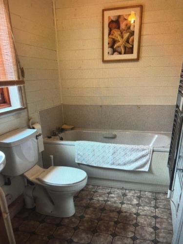 a bathroom with a toilet and a tub and a sink at ballyskelly lodge in Jemimaville