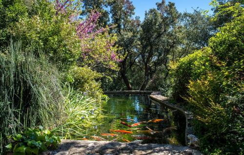 a pond in a garden with kites in it at La Ferme in Saint-Marc-Jaumegarde