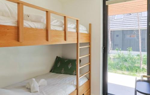a bunk bed in a room with a window at De Rode Vos - Enjoyment in the forest in Giethmen