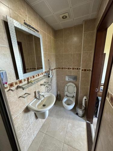 a bathroom with a sink and a toilet and a mirror at Ganita Life Hotel in Trabzon