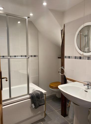 a bathroom with a shower and a toilet and a sink at Maison De Fontale in Aleu