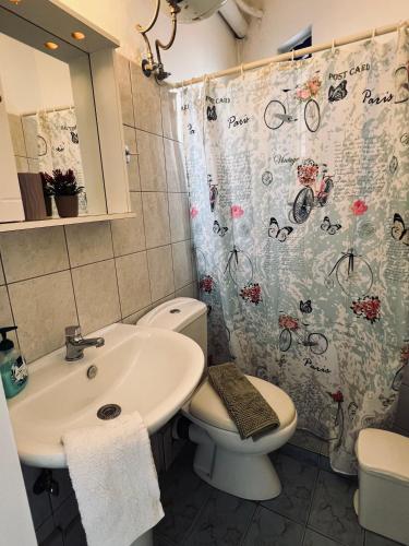 a bathroom with a sink and a toilet and a shower curtain at Magklaras Seaside Apartments in Néa Palátia