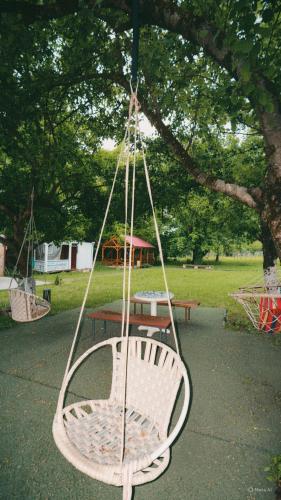 a swing hanging from a tree in a park at Lakarido in Tsesi