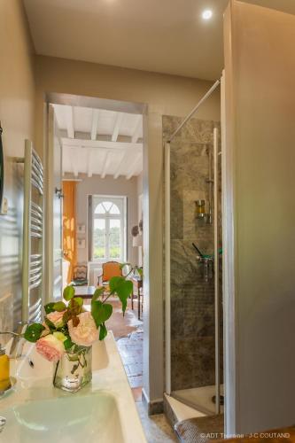a bathroom with a sink and a shower at Gîte du château d'Hodebert in Saint-Paterne-Racan
