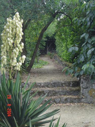 Quinta Do Martelo के बाहर एक बगीचा