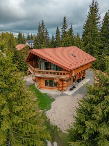 a log cabin with a red roof in the woods at Dor De Munte in Mărişel