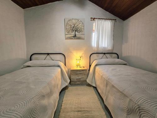 a bedroom with two beds and a window at Inés in Tijarafe