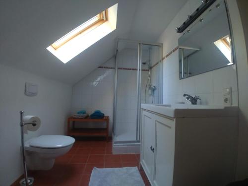 a bathroom with a toilet and a shower and a sink at Forsthaus Castell in Castell