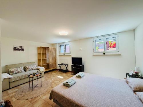 a living room with a bed and a couch at Ca' dal Bagatt Losone Campagna in Losone