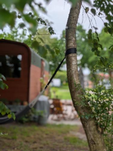 a tree with a black strap on the side of it at Tinyhouse Sabrina in Papenburg