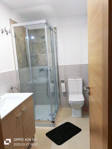 a bathroom with a shower and a toilet and a sink at Muiño Verde in Loña del Monte