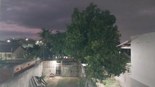 a tree is standing in front of a building at Cantinho da Alzira - Sobrado in Iguaba Grande
