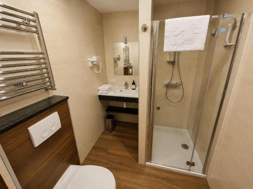 a bathroom with a shower and a toilet and a sink at Apart Home Tel AHT in Krapkowice