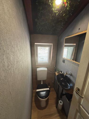 a small bathroom with a toilet and a sink at Villa D`Amante in Klis